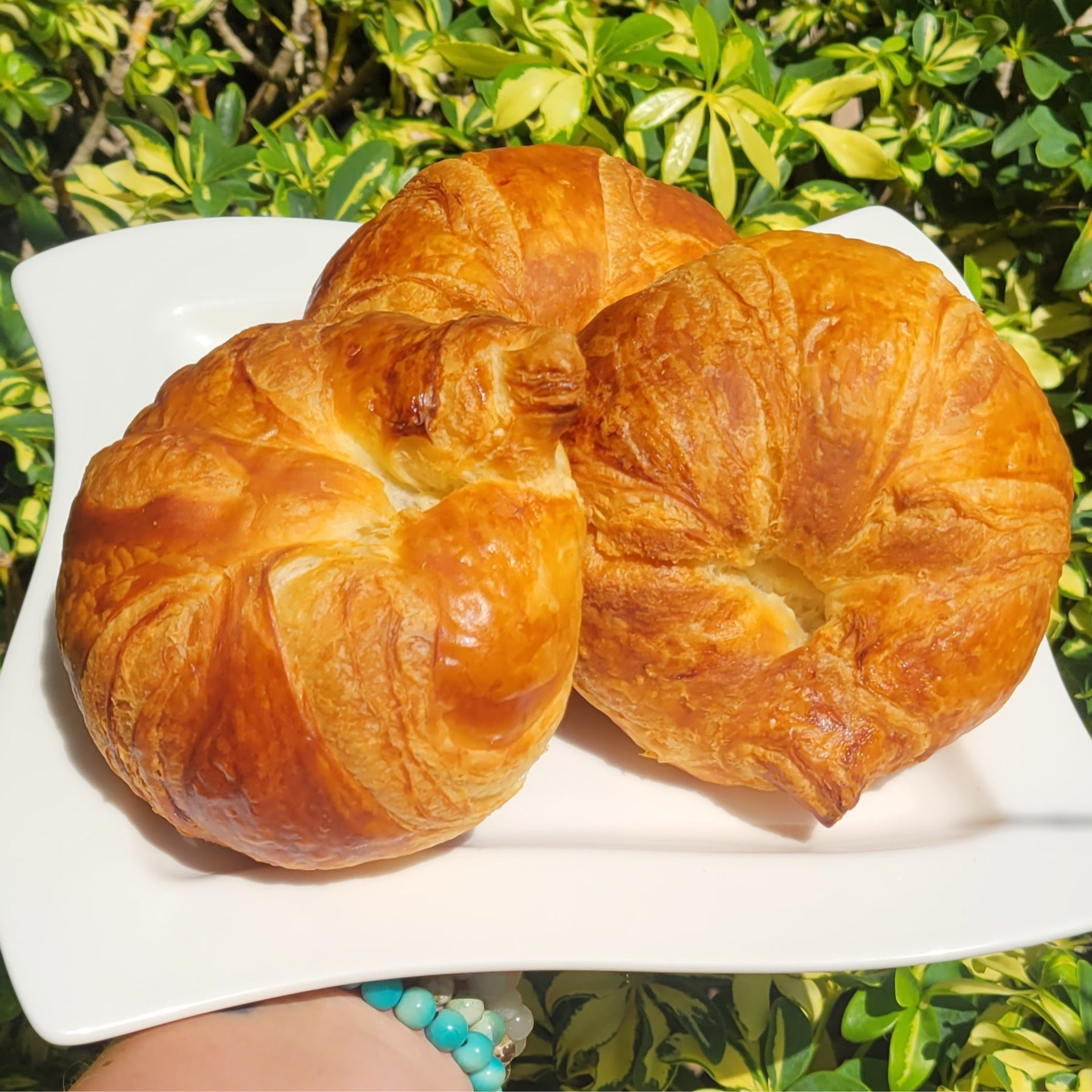 Croissant Butter Angelic Bakery & Desserts